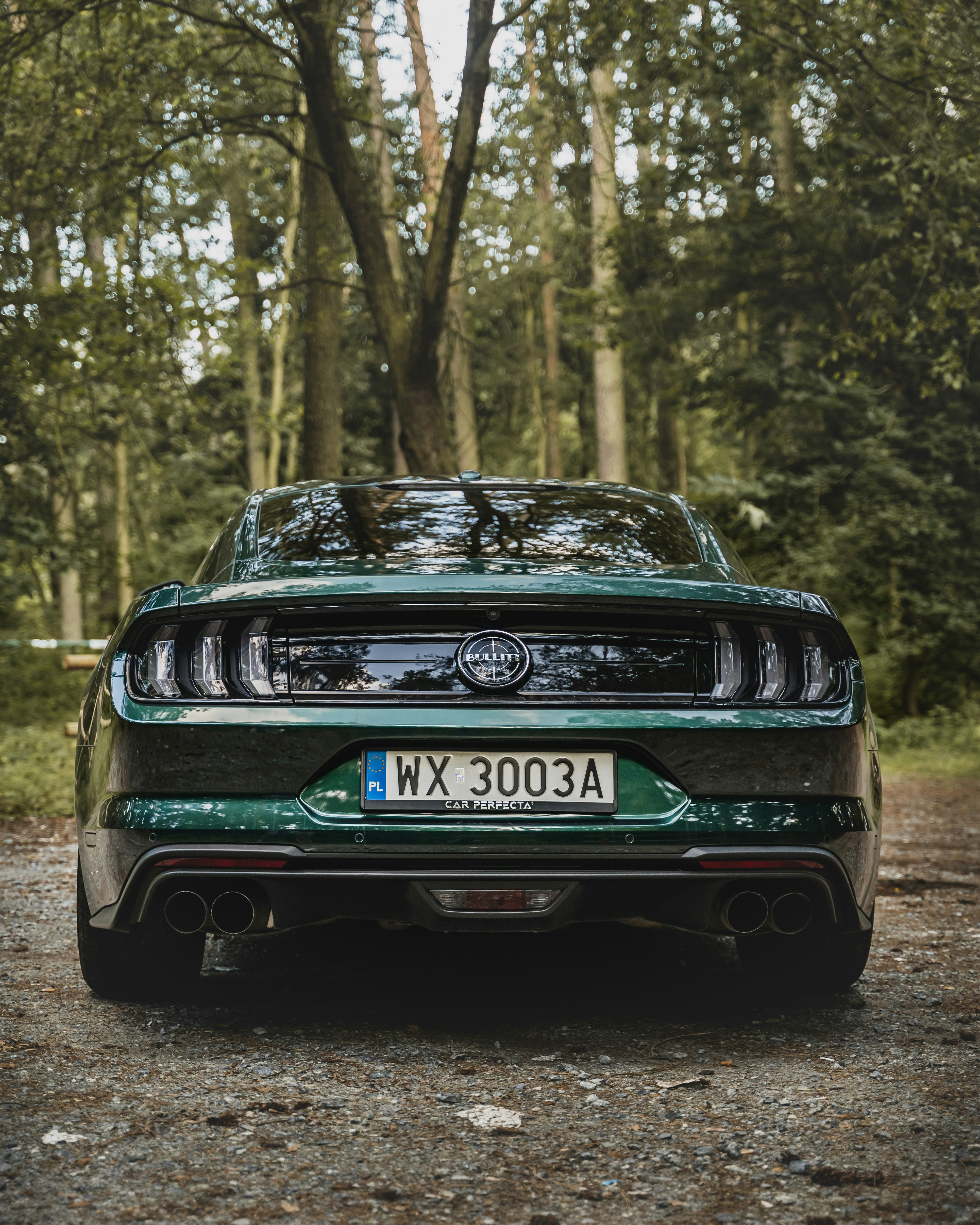 black mercedes benz car in forest during daytime